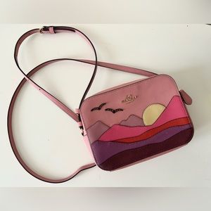 Coach mini camera bag with mountain postcard
